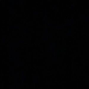 Meet your Posher, Tonia